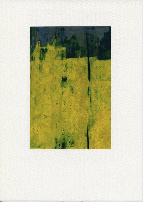 Koolzaadvelden (polder)