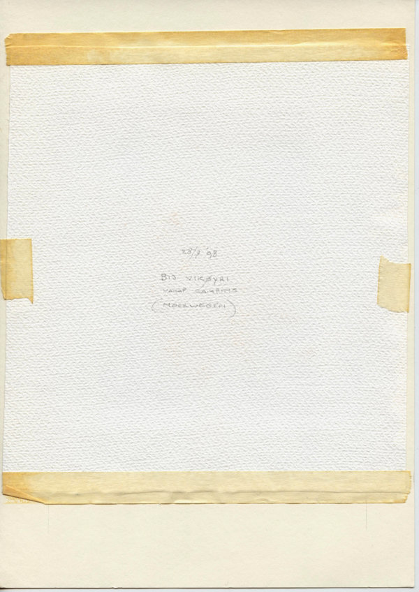 Bij Vikøyri (Noorwegen) (Backside)