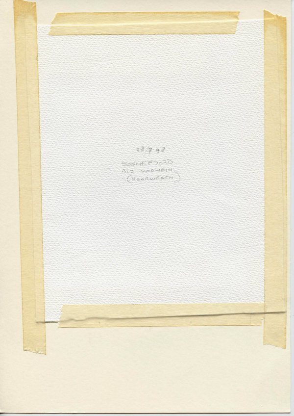 Sognefjord bij Vadheim (Noorwegen) (Backside)