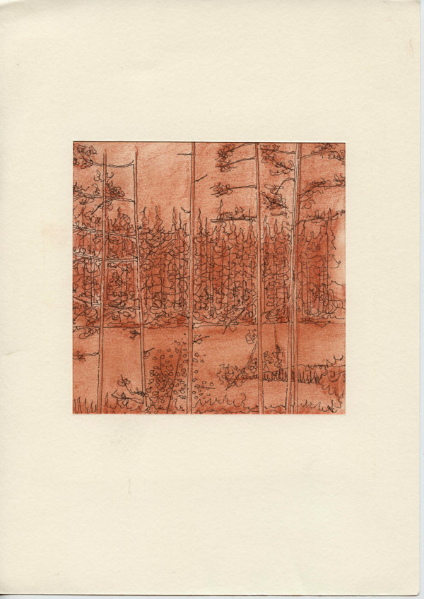 Bij Åmot (Telemark) (Noorwegen)