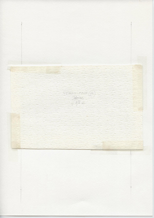 Lyngsalpan (N.) (Backside)