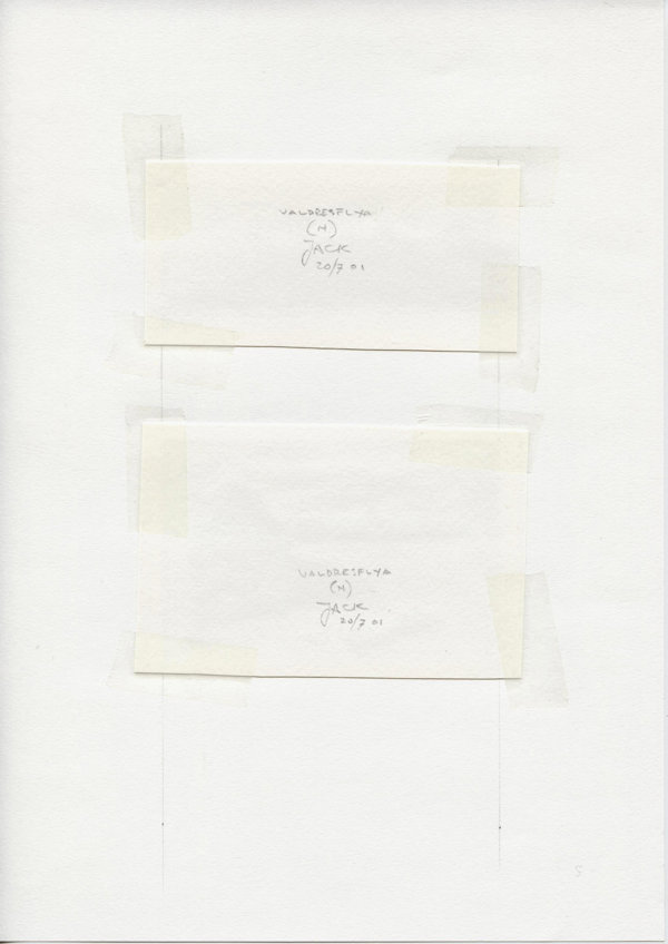 Valdresflya (N.) (Backside)