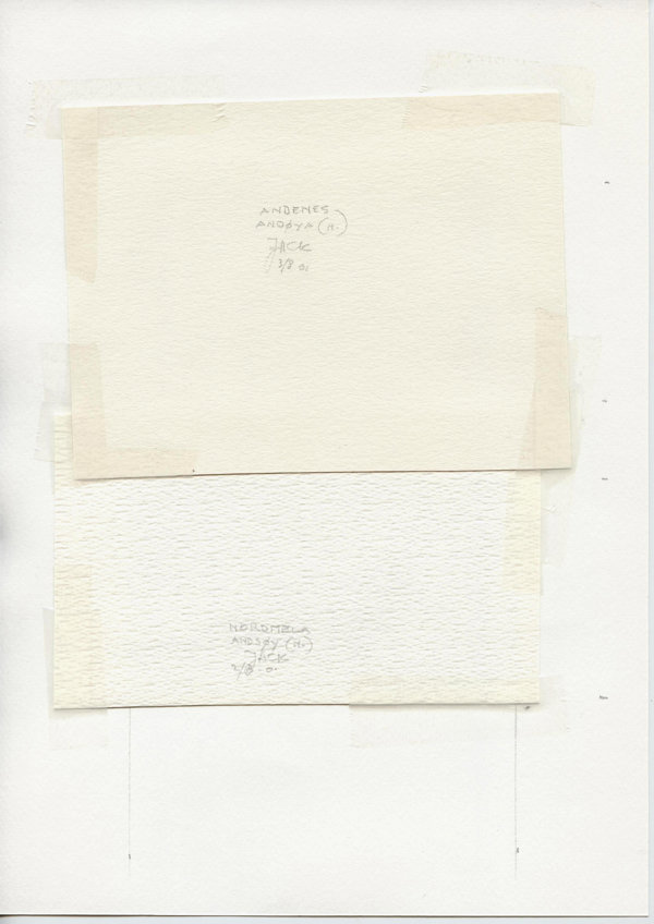 Andenes Andøya (N.) (Backside)