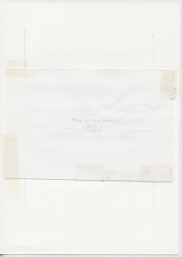 Tyin bij Øvre Årdal (N.) (Backside)