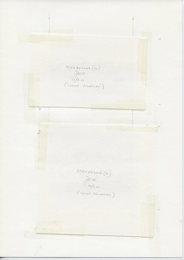 Brønnøysund (N.) (Backside)