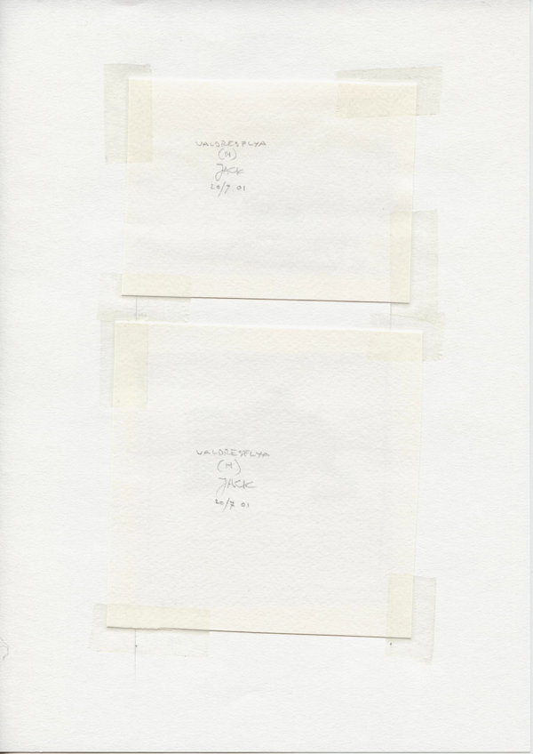 Valdresflya (N) (Backside)