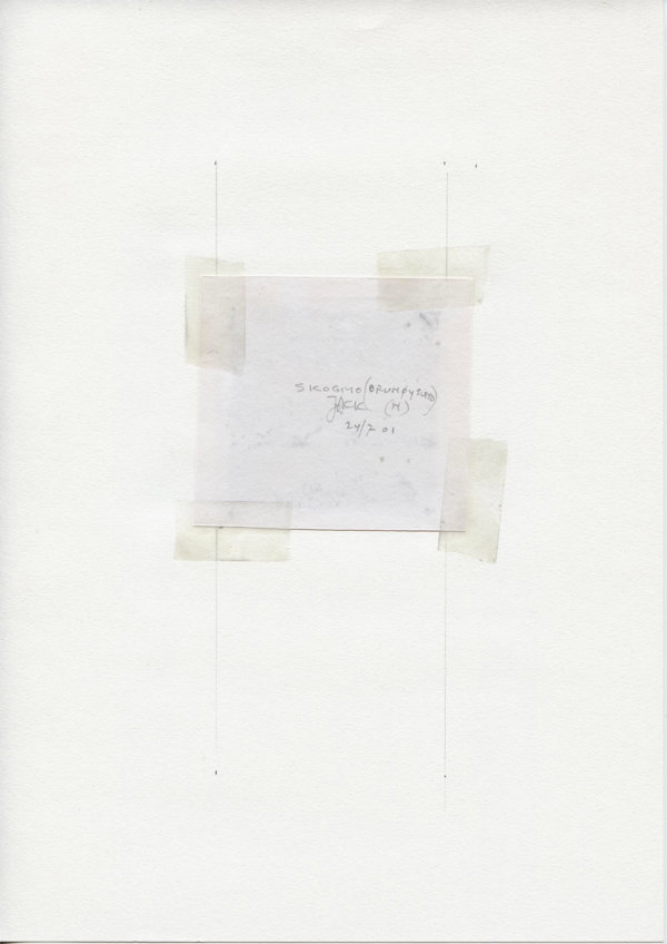 Skogmo (Brønnøysund) (N.) (Backside)