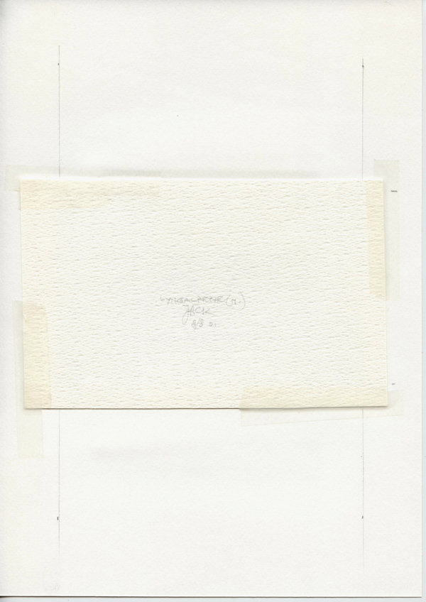 Lyngalphaene (N.) (Backside)