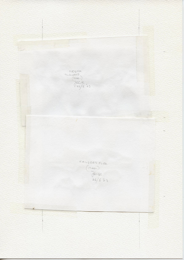 Nesna Norland (Noo.) (Backside)