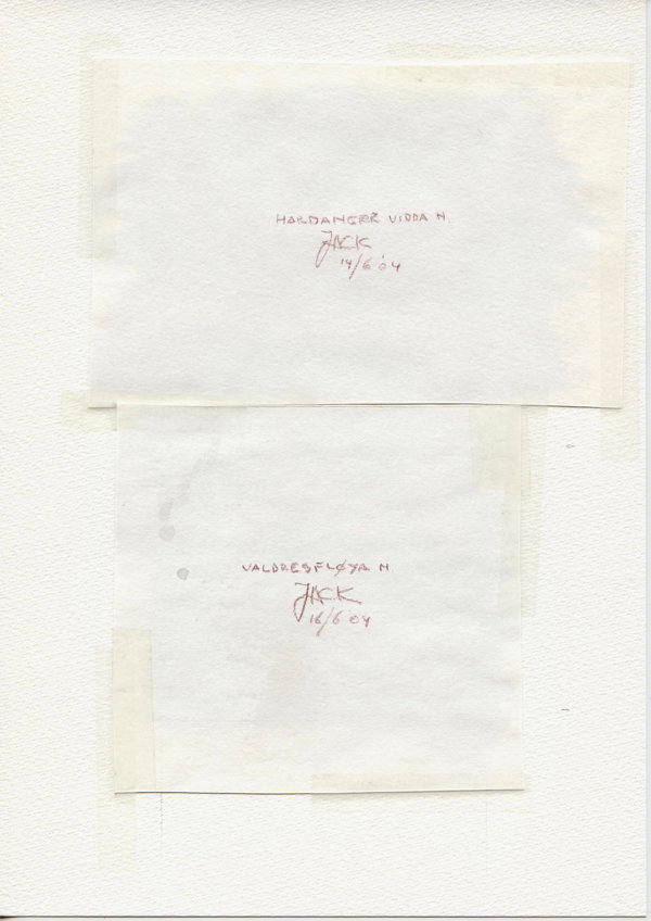 Hardanger Vidda N. (Backside)