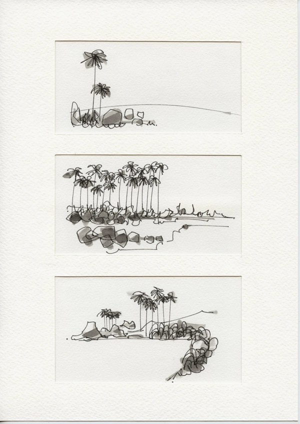 Westkust Zuid-Eiland bij Franz Josef Gl.