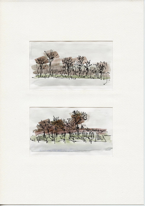 Namibië Okavanga River