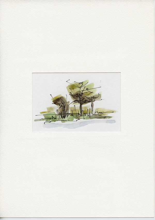 Okavanga Rivier Namibië (Afrika)