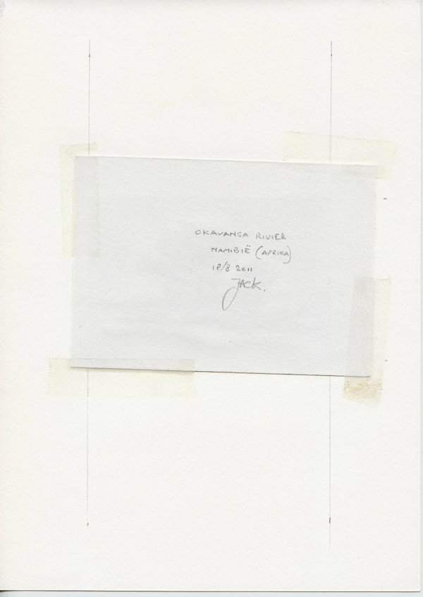 Okavanga Rivier Namibië (Afrika) (Backside)