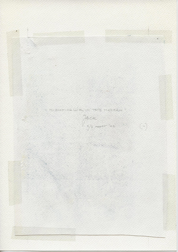 Nighthawk in Tate Modern (Backside)