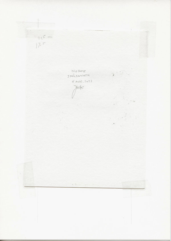 Norge Snåsavatn (Backside)