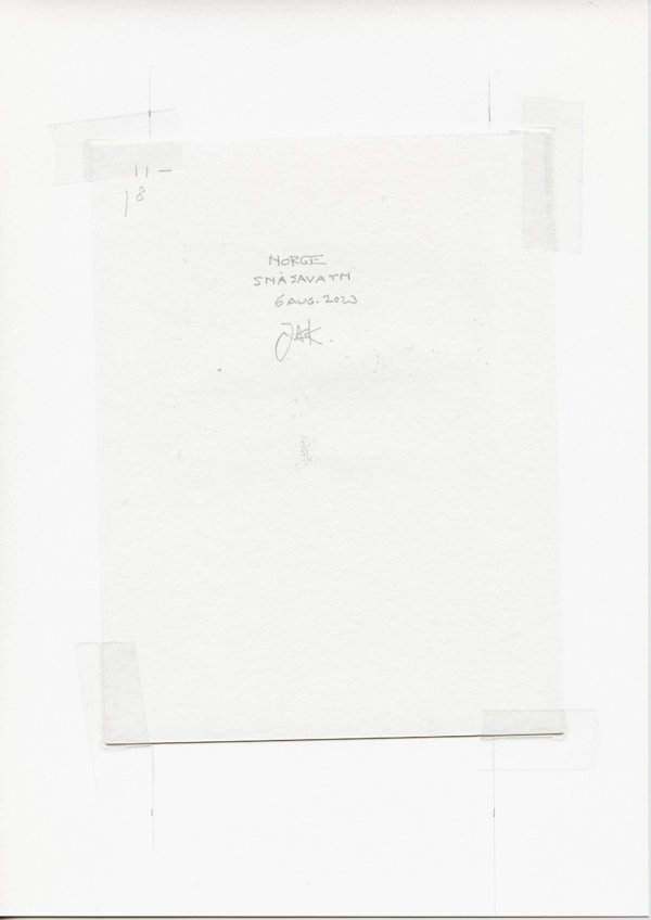 Norge Snåsavatn (Backside)