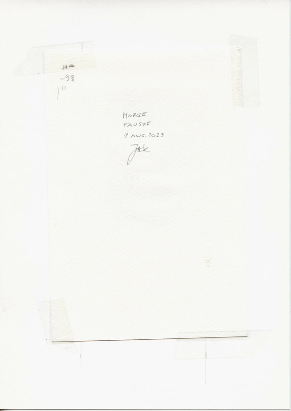 Norge Fauske (Backside)