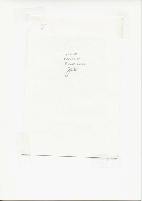 Norge Fauske (Backside)