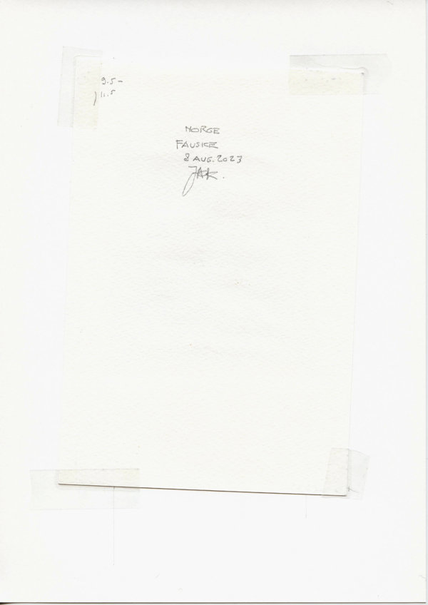 Norge Fauske (Backside)