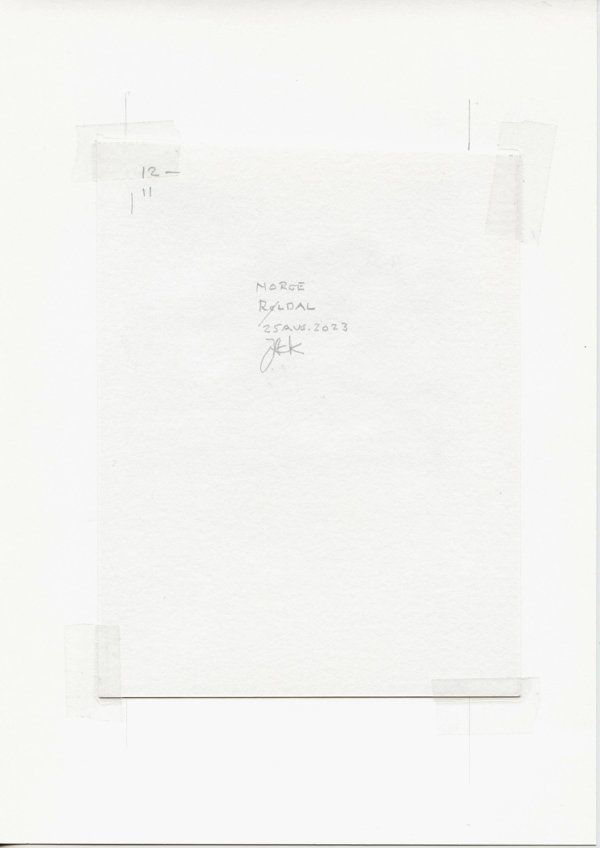 Norge Røldal (Backside)