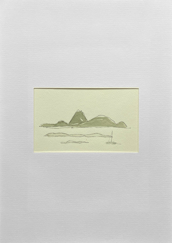 Bij (voor) Bodø (vanaf Trollfjord)