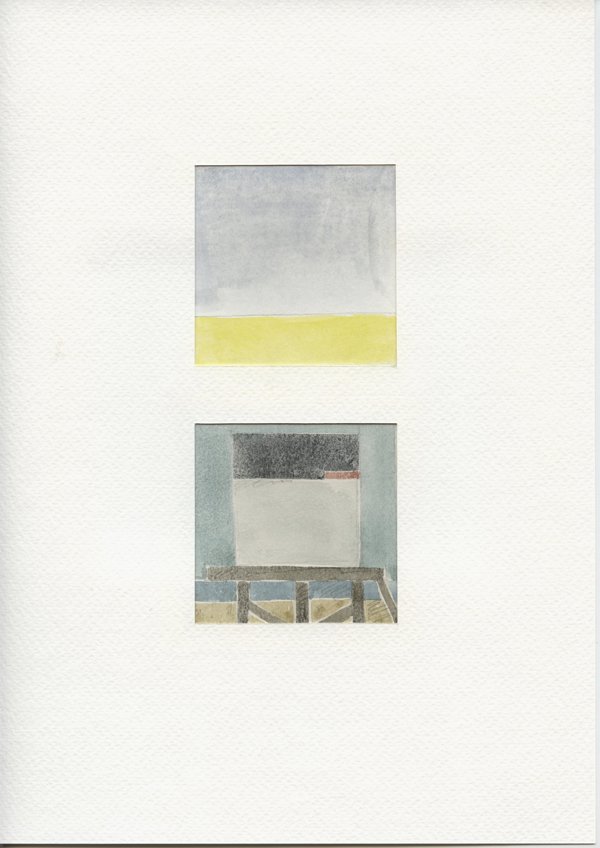 Koolzaadveld Friesland