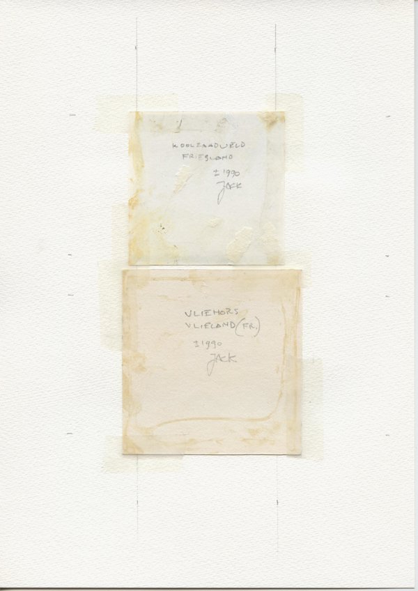 Koolzaadveld Friesland (Backside)