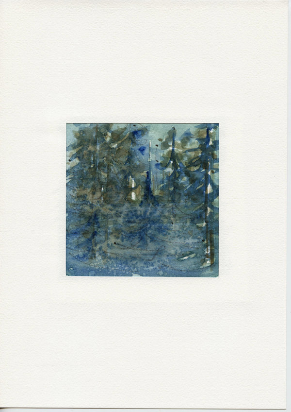 Impressie Fins - wood