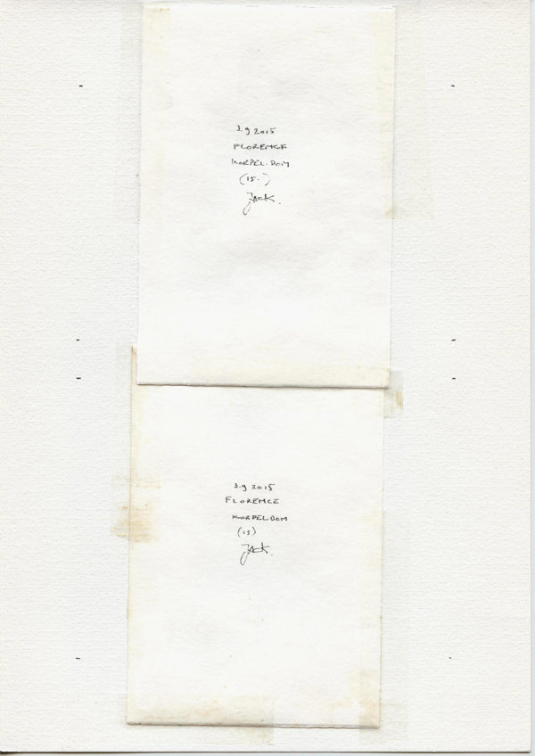 Florence Koepel Dom (15.) (Backside)