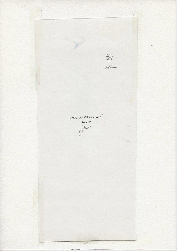 Noorderlicht (Backside)