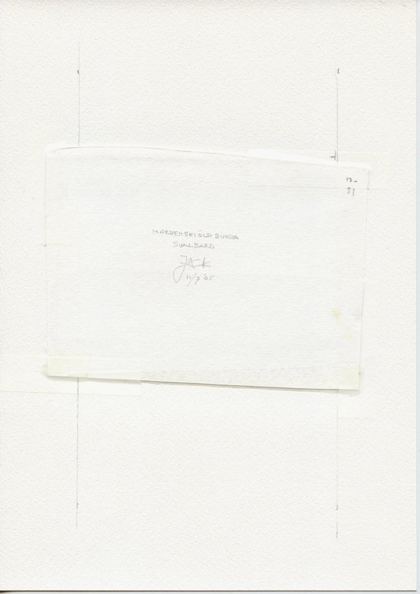 Nordenskiölp Bukta Svalbard (Backside)