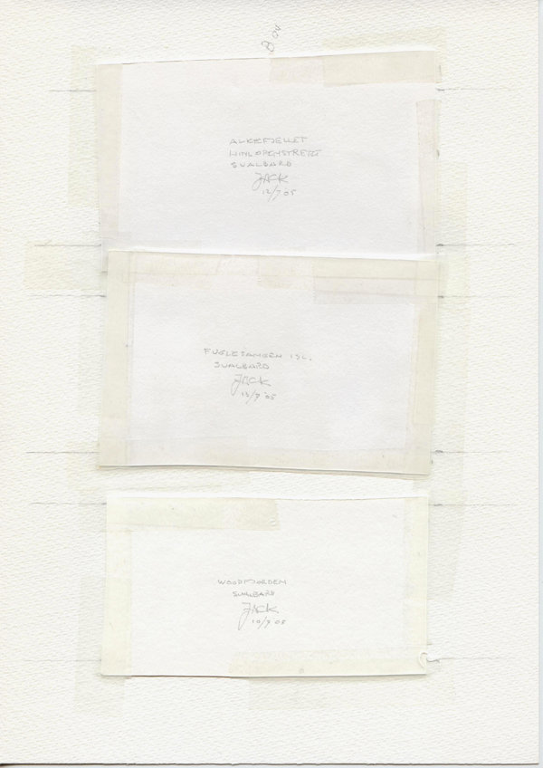 Alkefjellet Hindelopenstretet Svalbard (Backside)