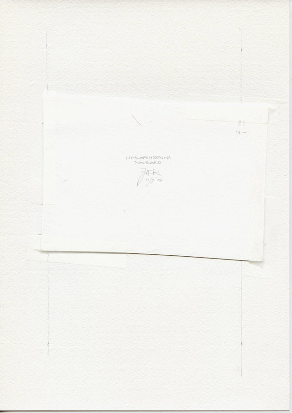 Hinlopenrennan Svalbard (Backside)