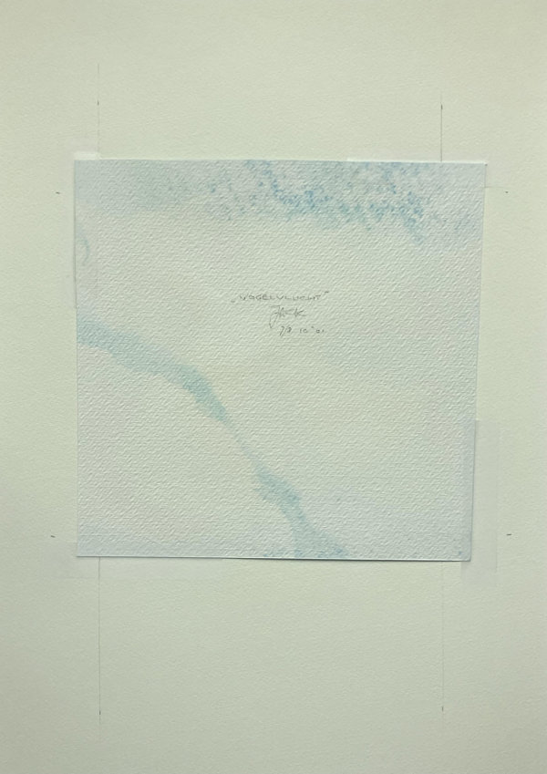 Vogelvlucht (Backside)