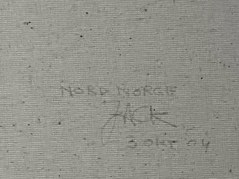 Nord Norge (Backside)