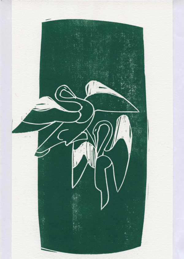 Stymphalische vogels