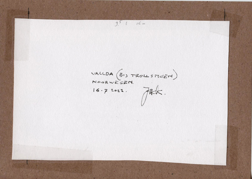 Vallda (bij Trollstigen) Noorwegen (Backside)