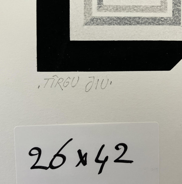 Tîrgu Jiu (Backside)