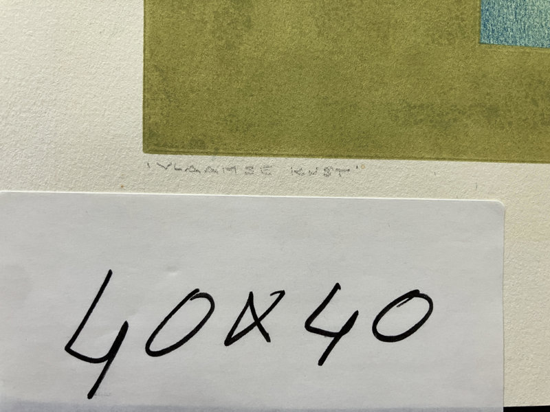 Vlaamse Kust (Backside)