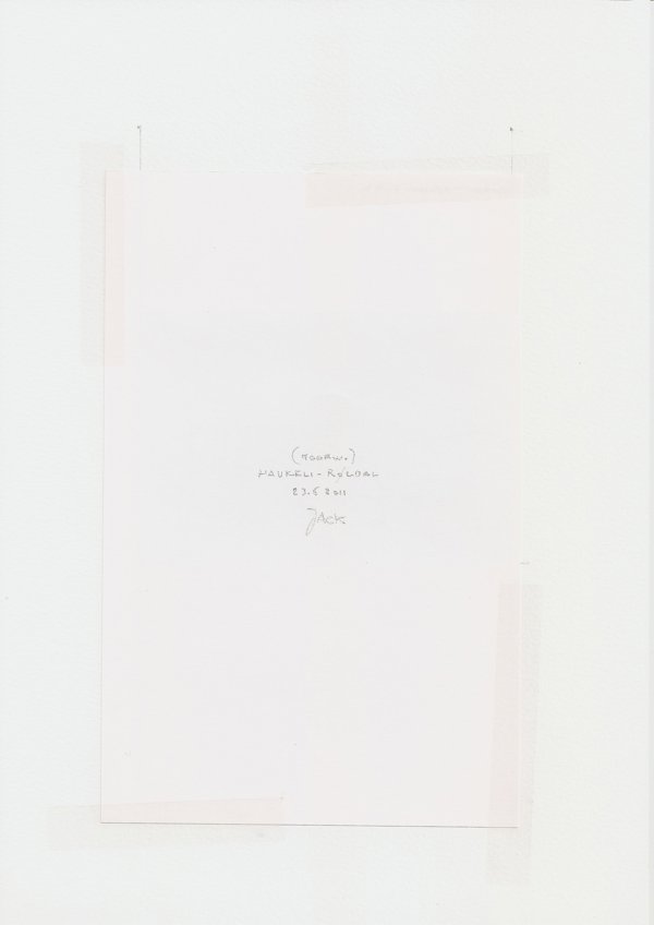 Haukeli - Røldal (Backside)