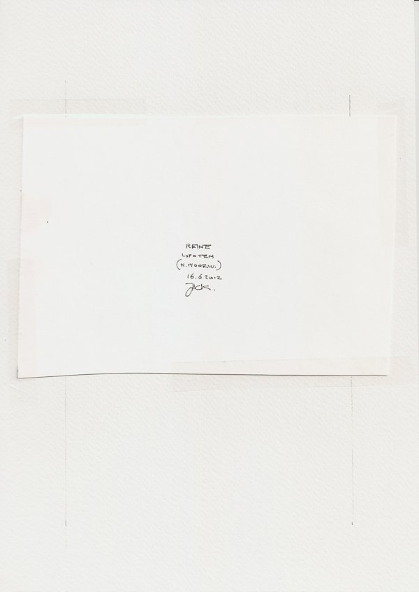 Reinte Lofoten (Backside)