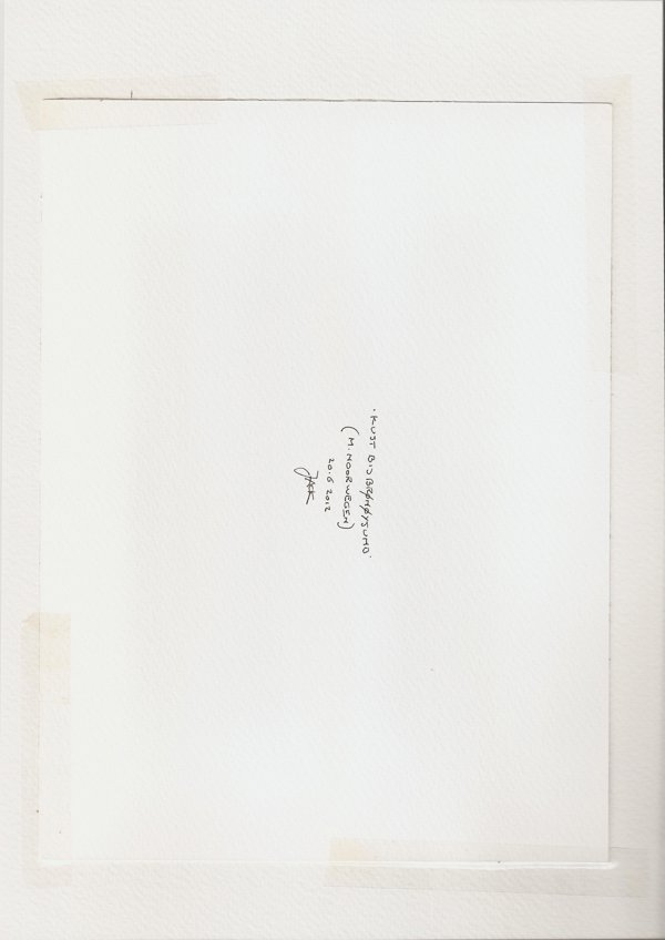 Kust bij Brønøysund (M.Noorwegen) (Backside)