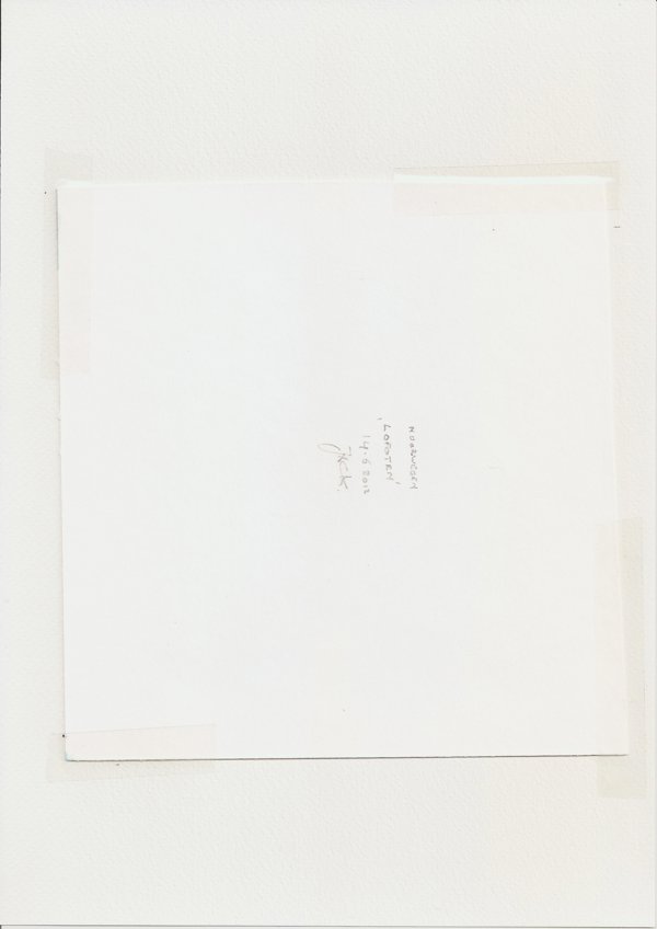 Noorwegen Lofoten (Backside)