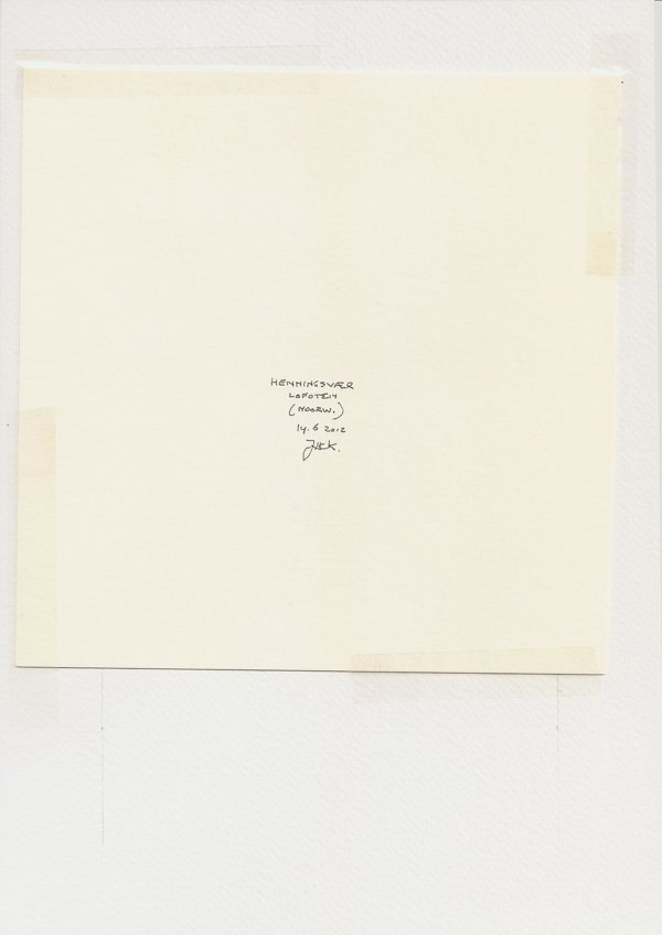 Henningsvær Lofoten (Backside)