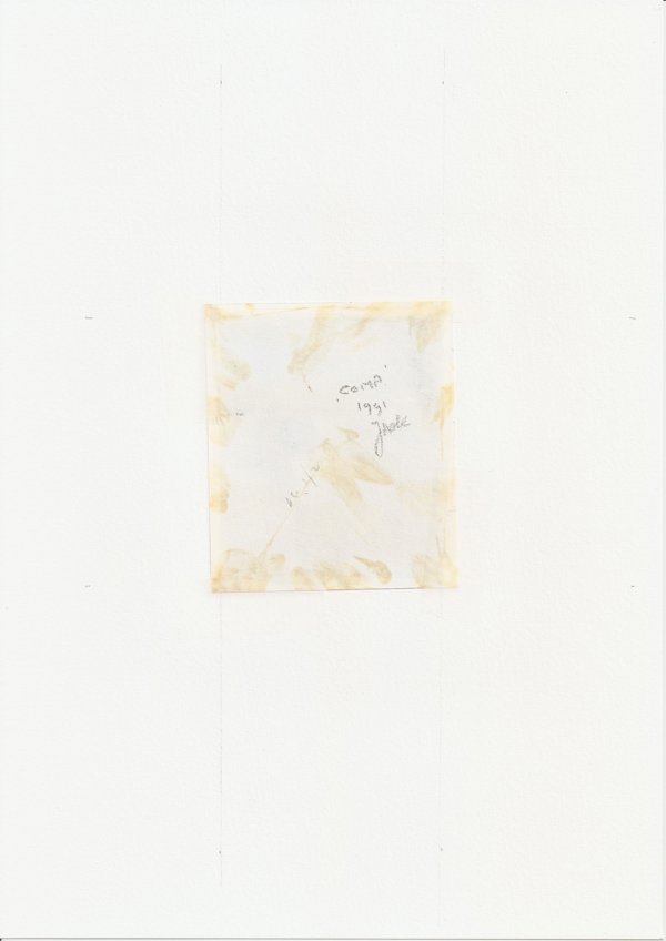 Comp (Backside)