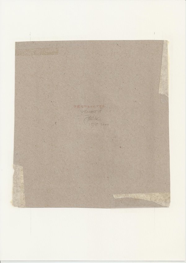 Peetdokter Venetië  (Backside)