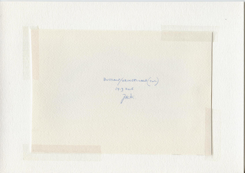 Bussalp/Grindelwald (Zwi.) (Backside)