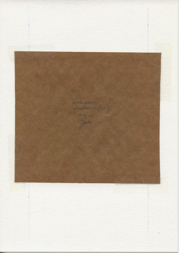 Appelboom Wilderswil (Zwi.) (Backside)