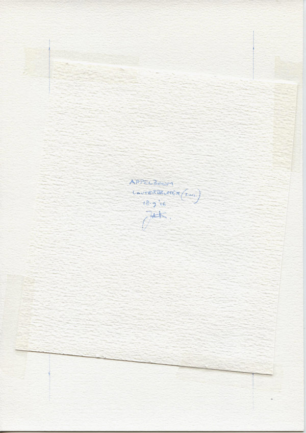 Appelboom Lauterbrunnen (Zwi.) (Backside)